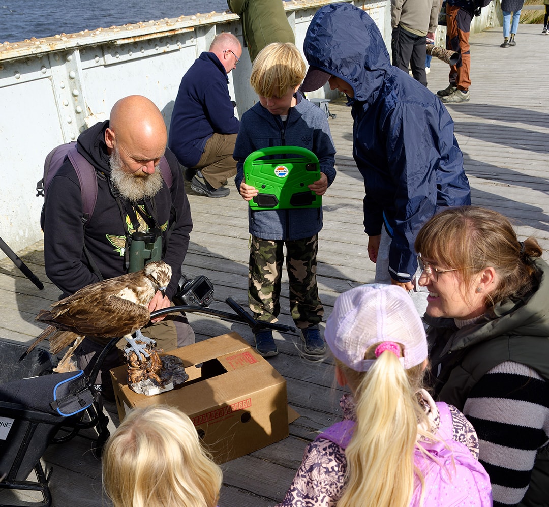 Børnene på dagens tur kigger interesseret på en udstoppet fiskeørn, som naturvejleder Michael Winther har medbragt.
