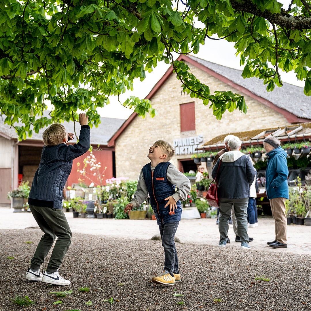 Som en del af Garant-millionen har Sparekassen Kronjylland uddelt 300.000 kr. til 10 fællesskaber, der alle er med til at inkludere og rumme mange forskellige mennesker. 
