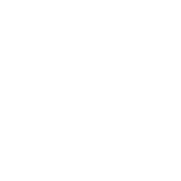 SparKron mobilbank