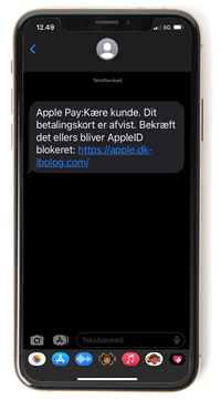 Sådan undgår du svindel